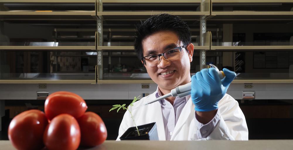 Dr. Tuan Tran, 十大玩彩信誉平台生物学助理教授, was awarded a $40,美国农业部和阿拉巴马州农业和工业部提供了1万美元的资金，用于研究一种土壤细菌，这种细菌会导致番茄等作物枯萎, peppers and potatoes. 